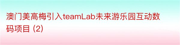 澳门美高梅引入teamLab未来游乐园互动数码项目 (2)