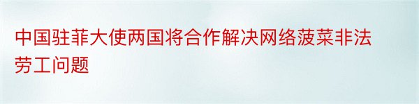 中国驻菲大使两国将合作解决网络菠菜非法劳工问题
