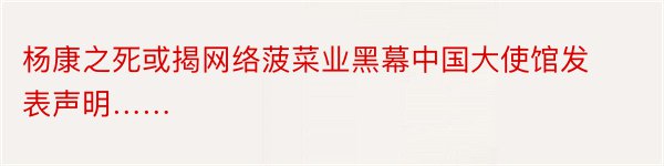 杨康之死或揭网络菠菜业黑幕中国大使馆发表声明……