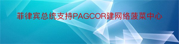 菲律宾总统支持PAGCOR建网络菠菜中心