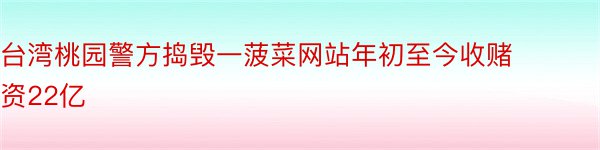 台湾桃园警方捣毁一菠菜网站年初至今收赌资22亿
