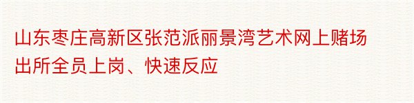 山东枣庄高新区张范派丽景湾艺术网上赌场出所全员上岗、快速反应